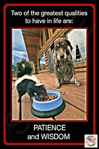 [Amazon Link]