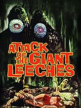 [Amazon Link]