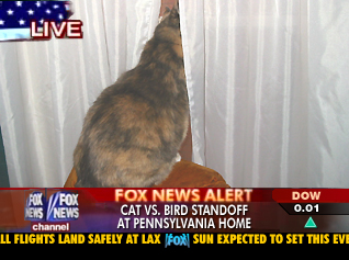 [Fox Slow News Day]